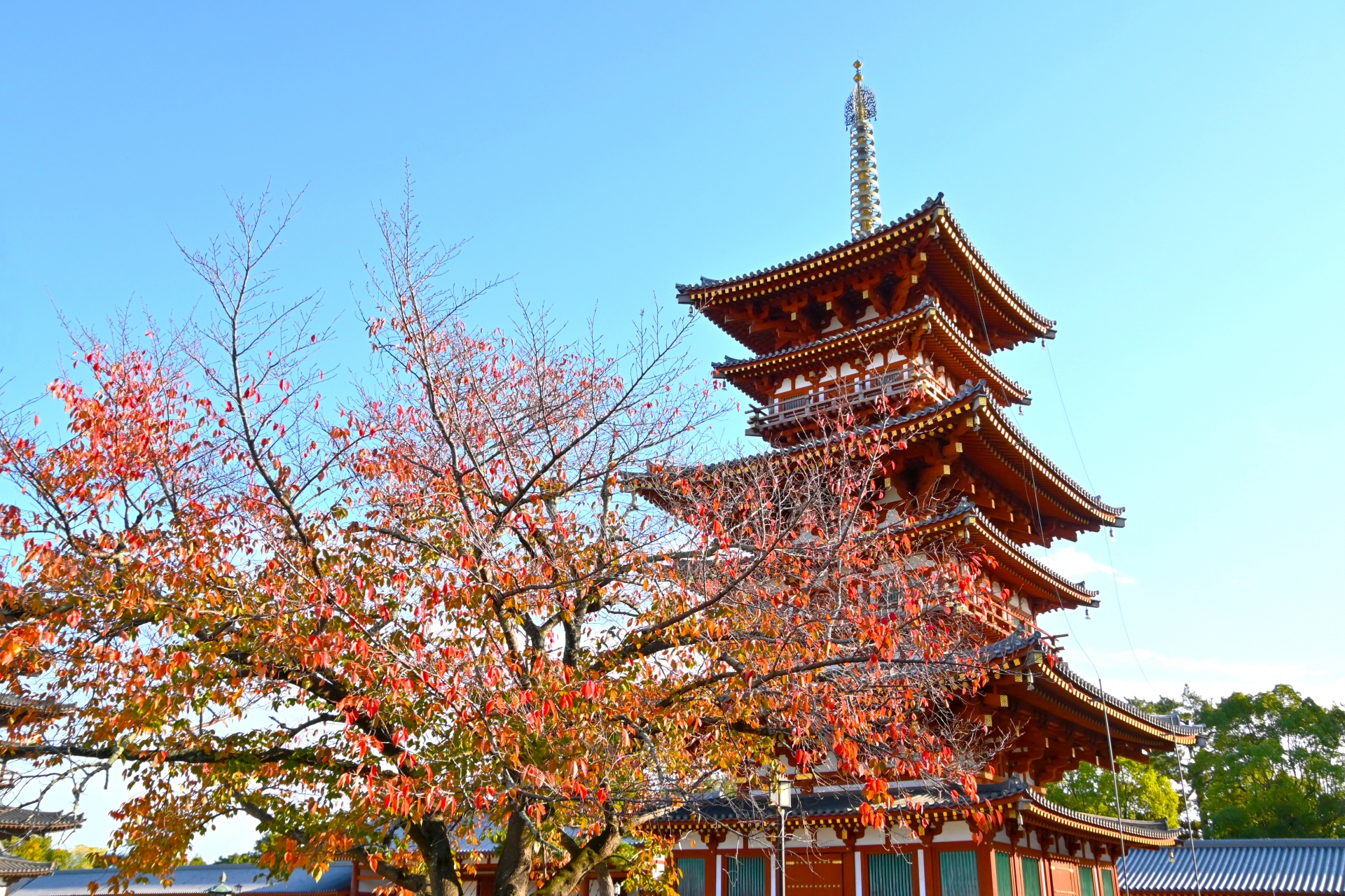 歴史的な名所(城跡・神社仏閣・旧街道)【濱西慎一】